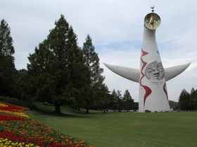 10160d.jpg