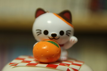 60d17-70mm.jpg(34551 byte)