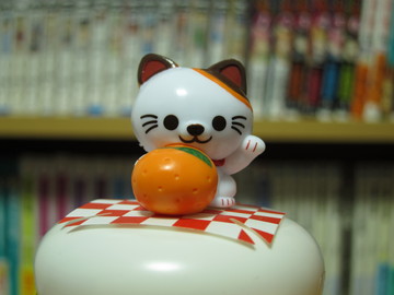 s95_50mm.jpg