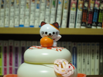 s95_85mm.jpg