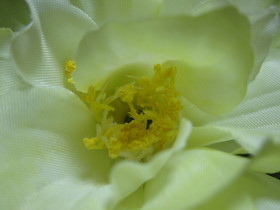 dt35x1.4.jpg(25507 byte)