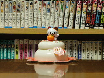 wx5_120mm.jpg